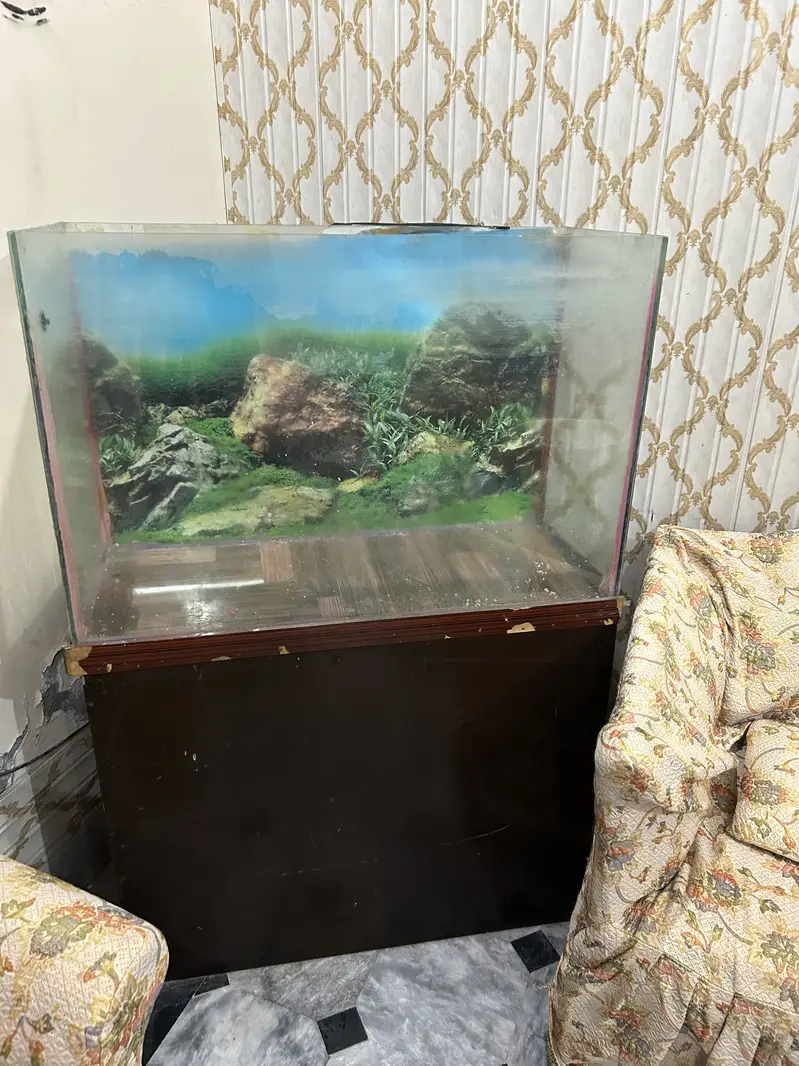 Complete Aquarium Setup for Sale — photo 10