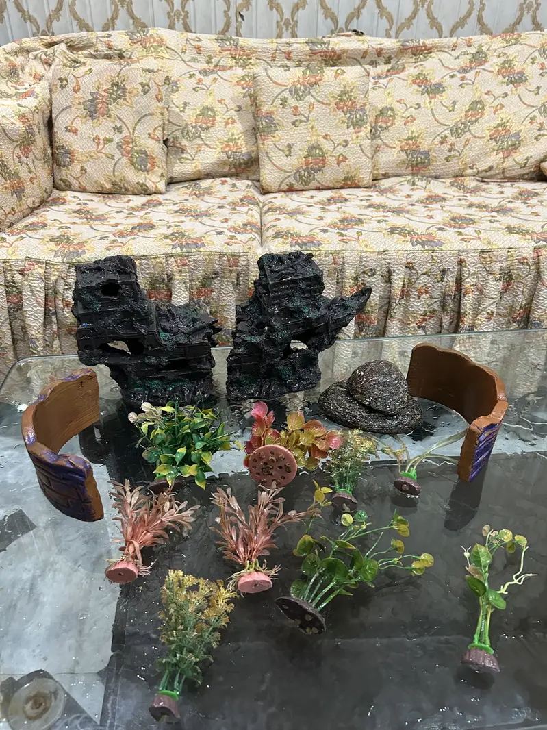Complete Aquarium Setup for Sale — photo 11