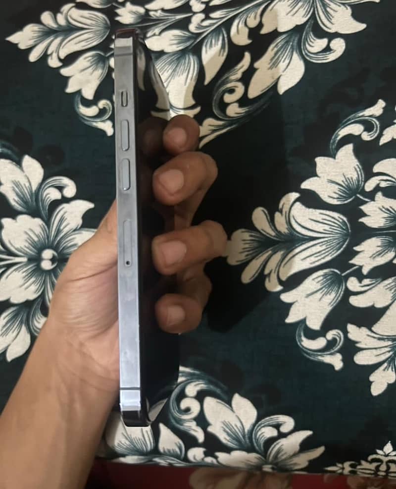 Apple iPhone 13 Pro 6