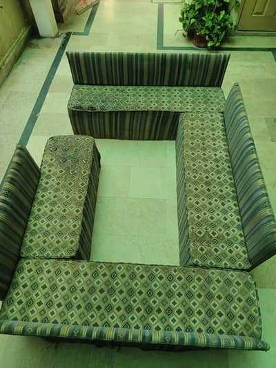 Bolan back bench