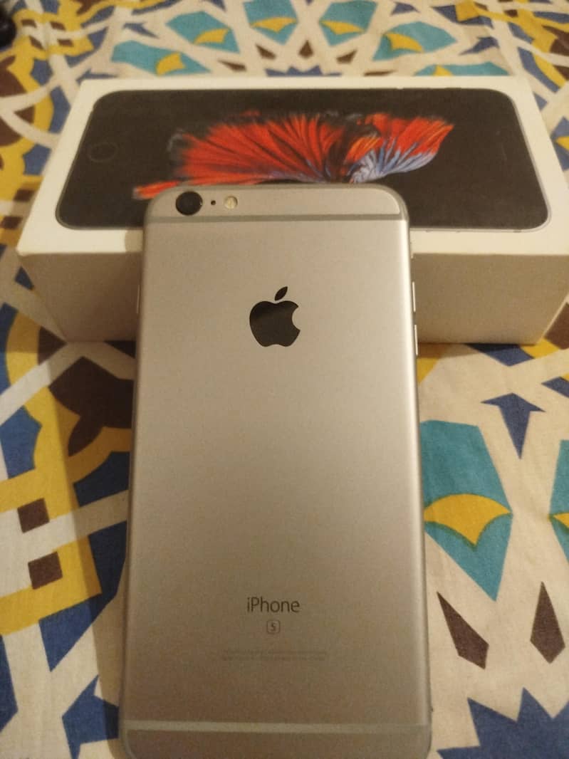 Apple iPhone 6 Plus 1
