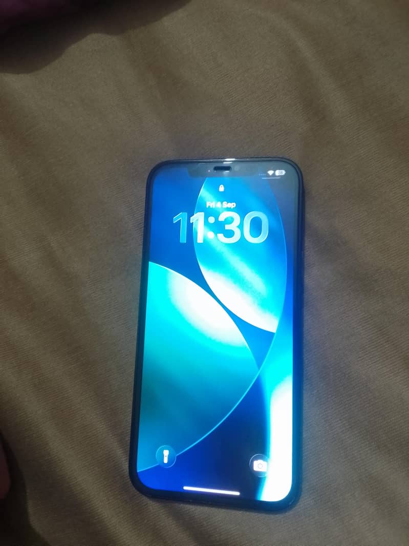 Apple iPhone 12 Pro Max 1