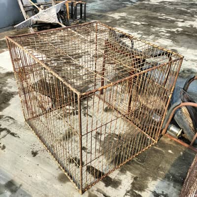 Iran Cages for hens