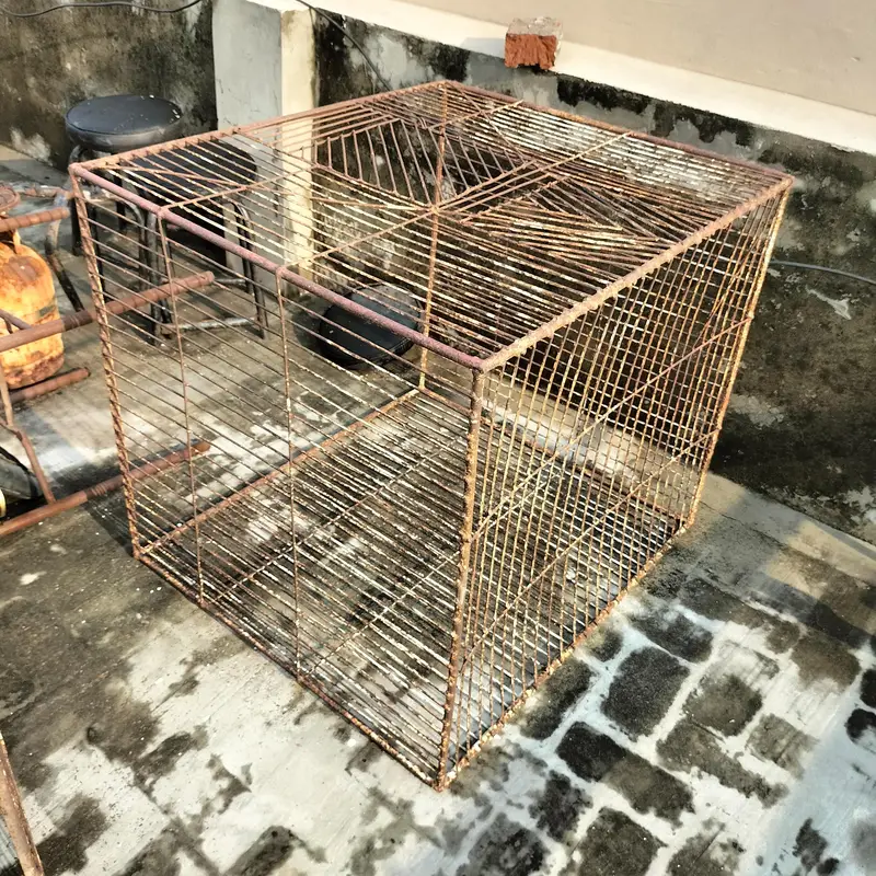 Iran Cages for hens — photo 2