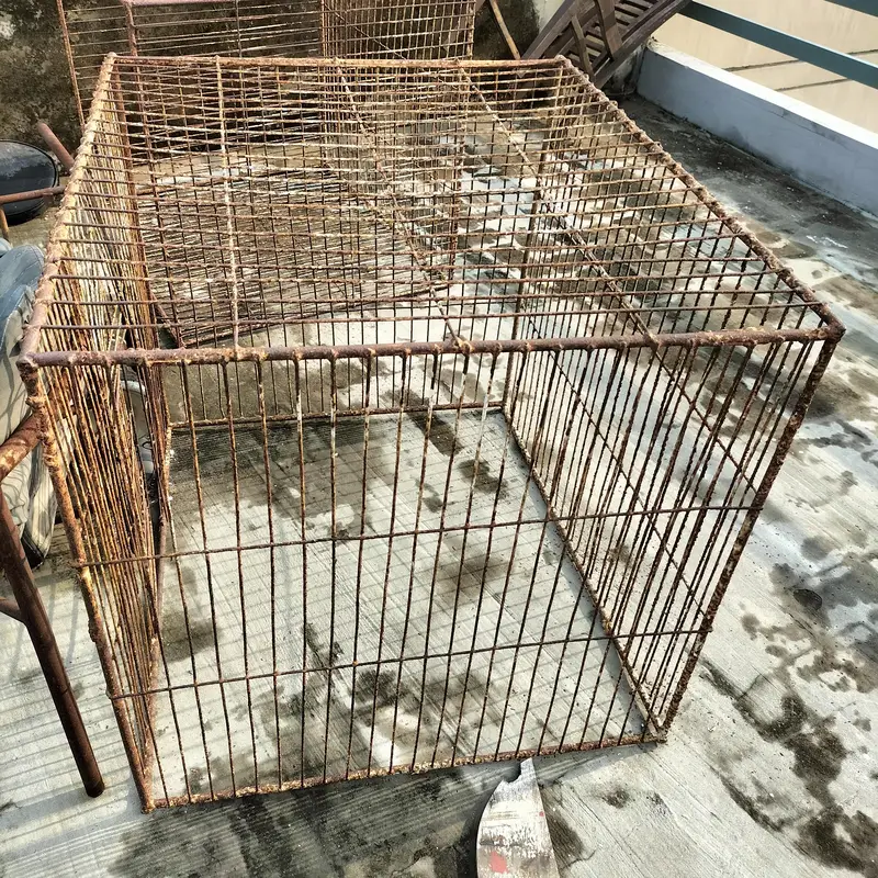 Iran Cages for hens — photo 3