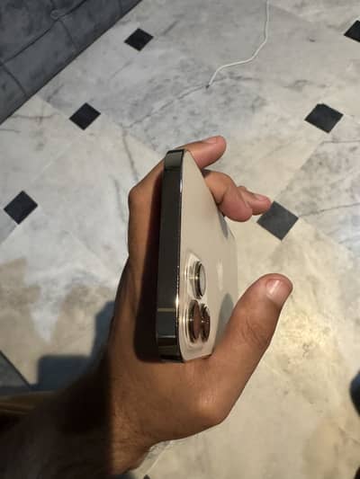 Apple iPhone 12 Pro Max