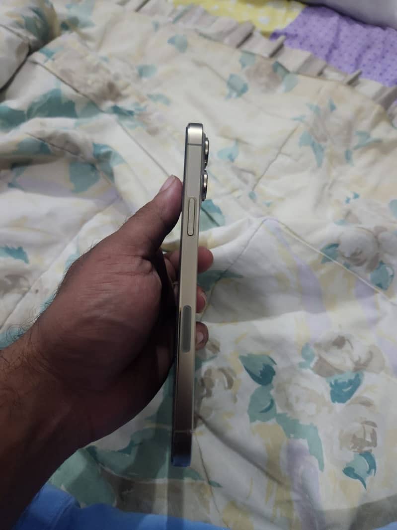 Apple iPhone 13 Pro Max 6