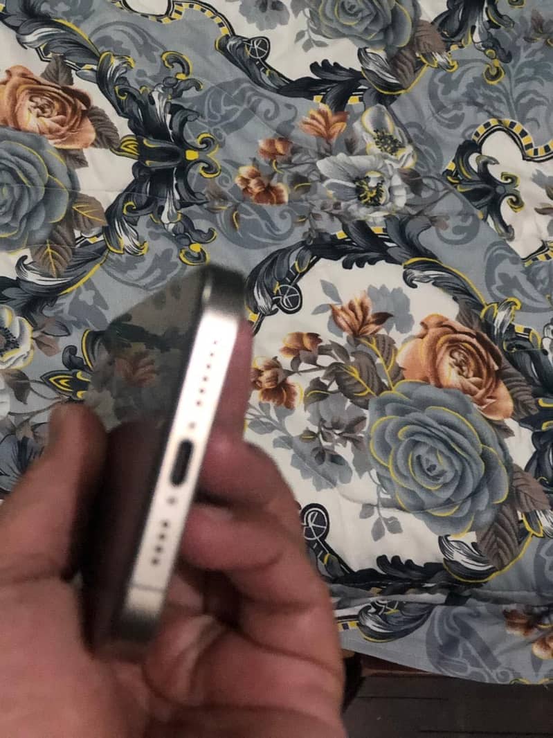Apple iPhone 15 Pro Max 1