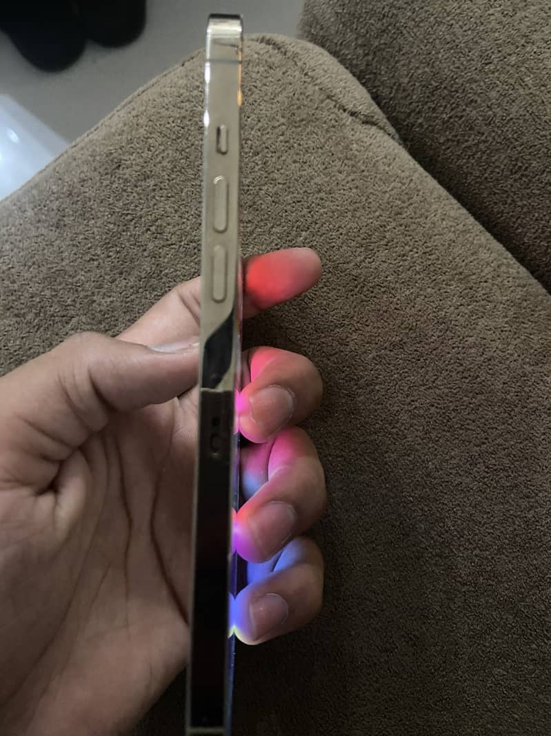 Apple iPhone 12 Pro Max 2