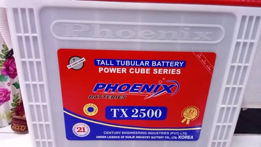 PHOENIX 12KV BRAND NEW BATTERY TX 2500