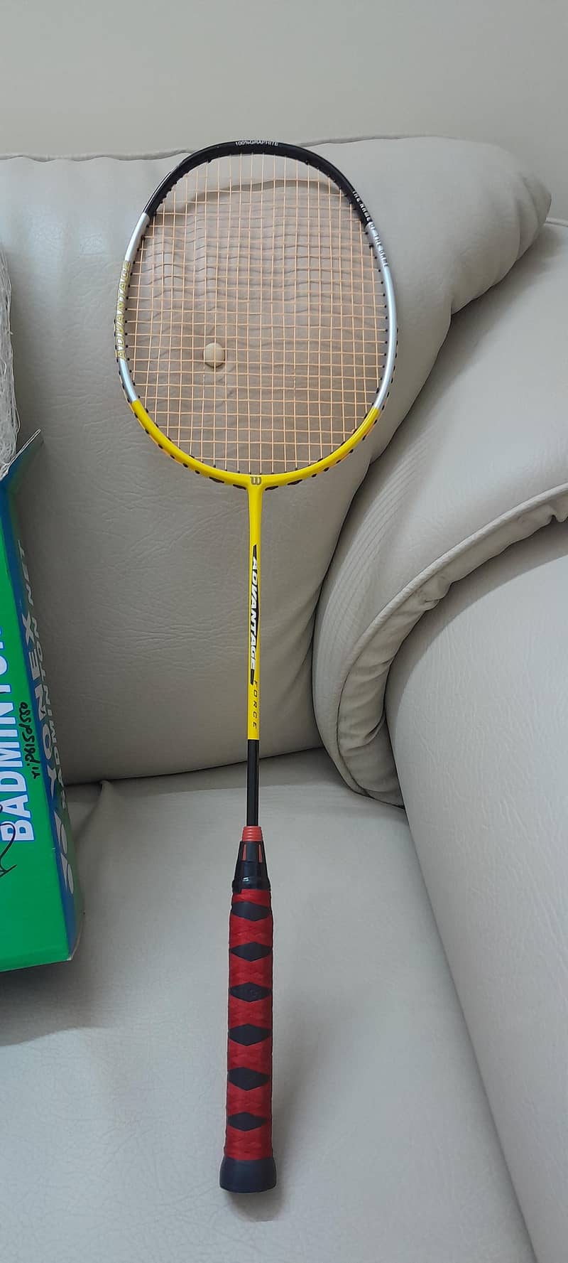 Single Flexible Racket with Net 1