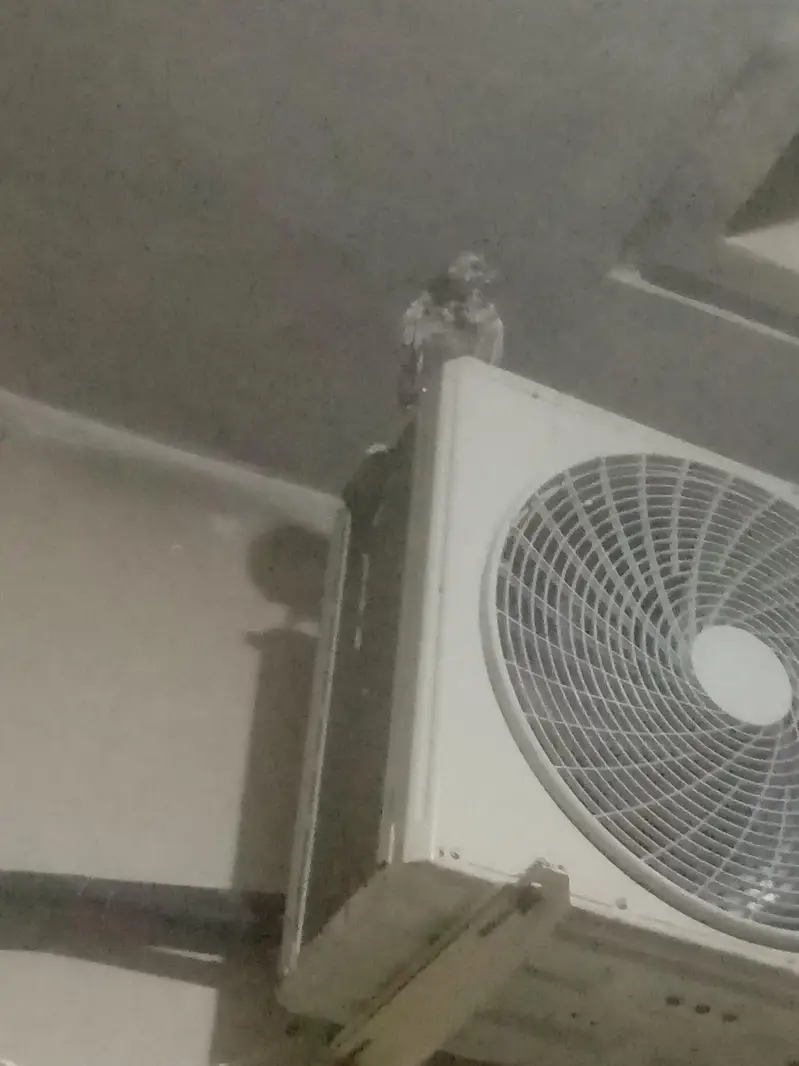 Nasal ka pata nhi ha q k ma shoqeen nhi hun — photo 2
