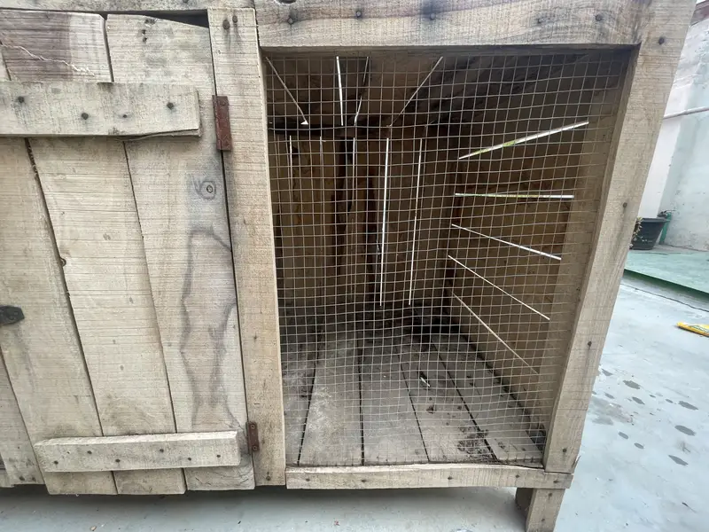 Hen cage — photo 3