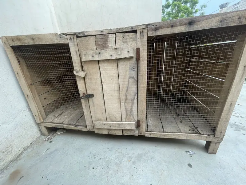 Hen cage — photo 5