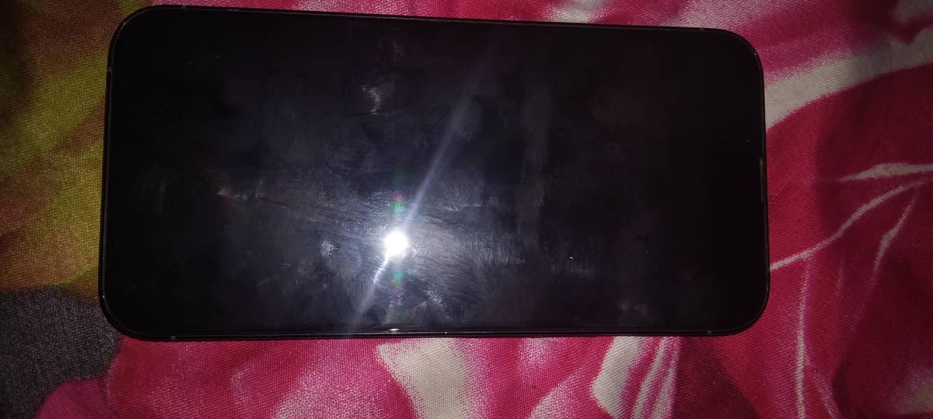 Apple iPhone 13 Pro Max 1
