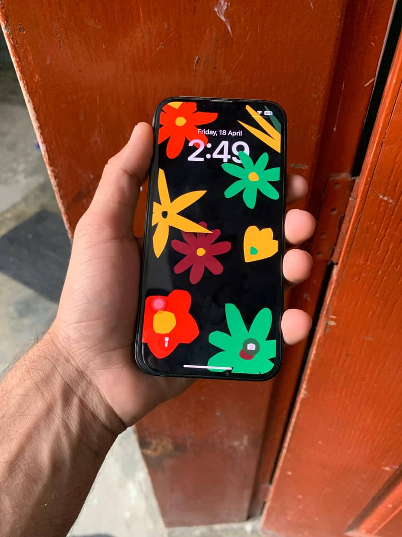 Apple iPhone 13 0