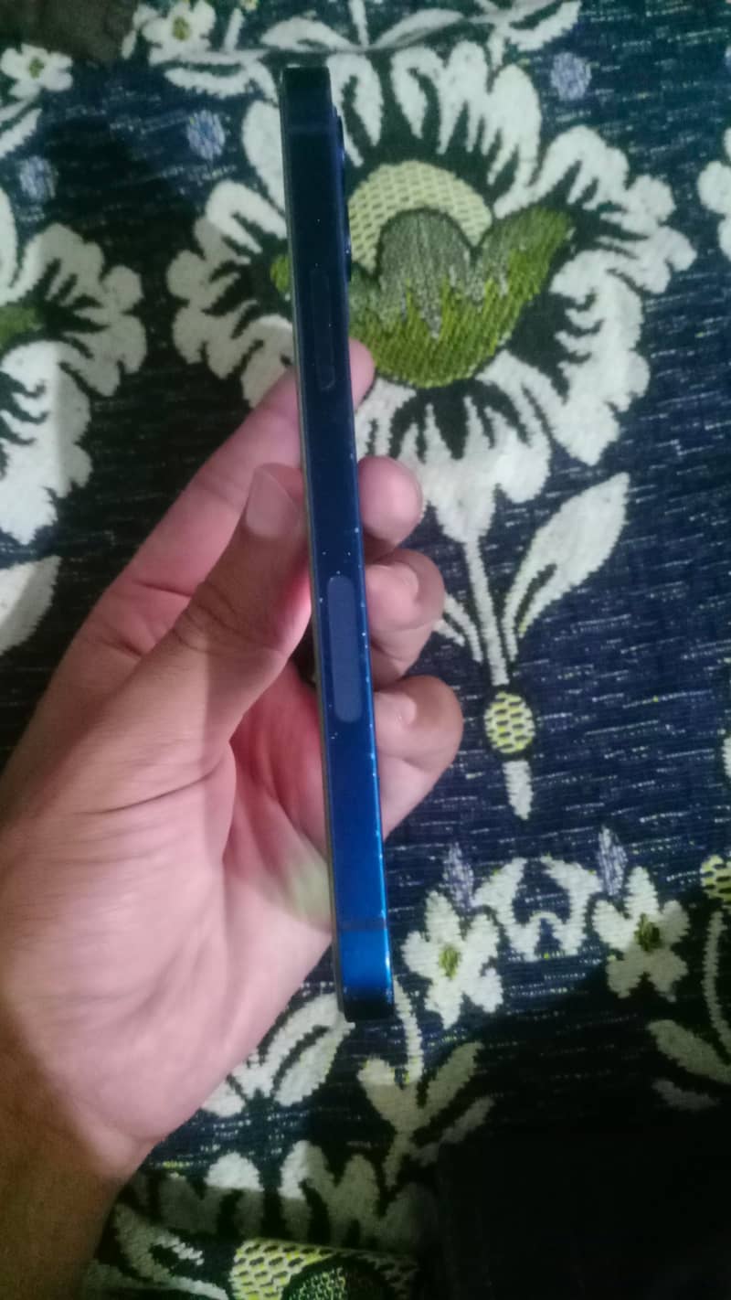 Apple iPhone 12 1