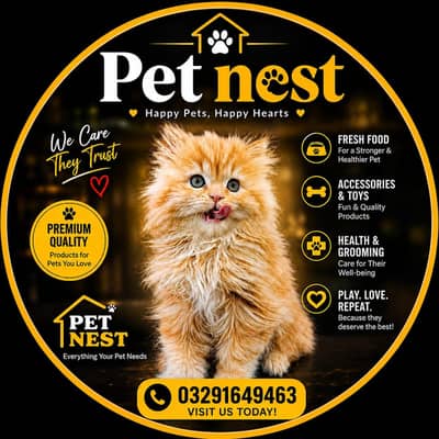home delivery  parshion punch face kitten