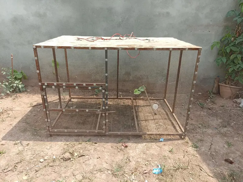birds cage good condition
