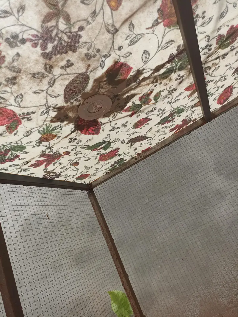 birds cage good condition — photo 2