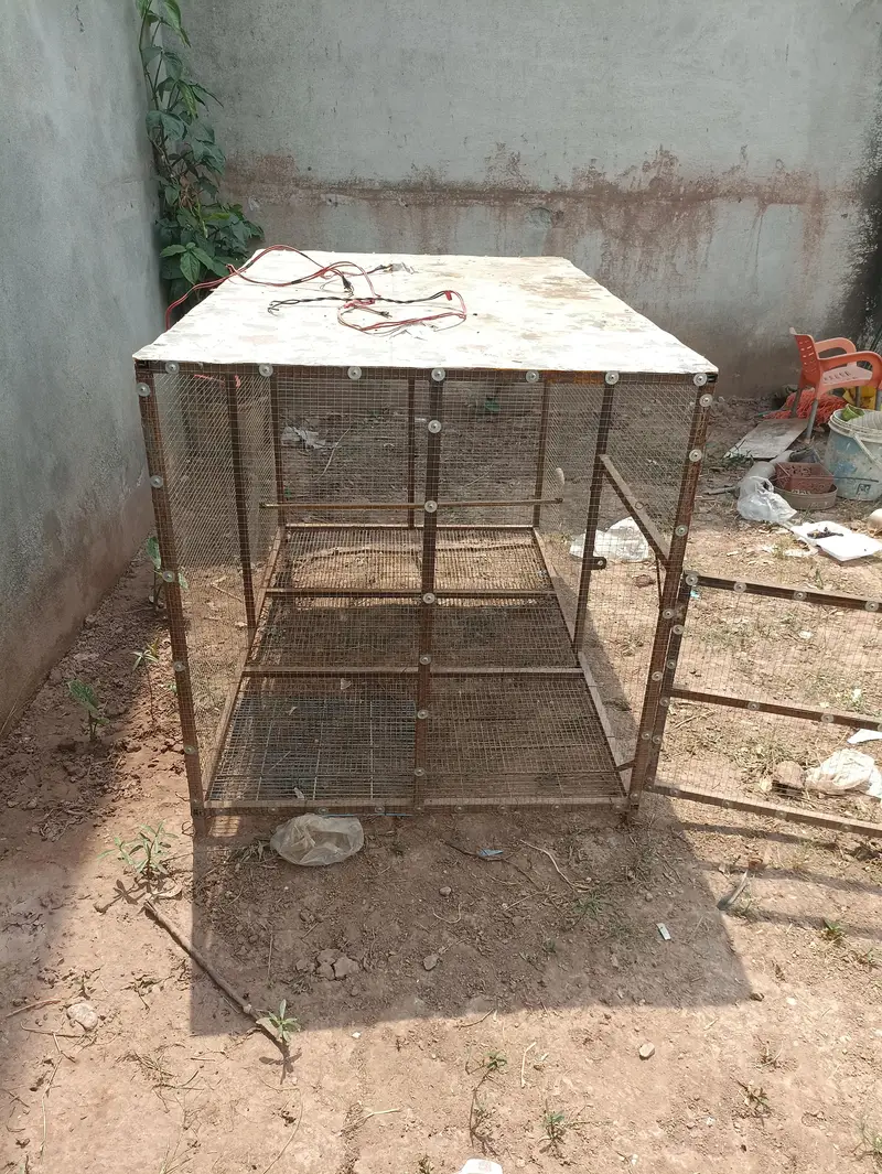 birds cage good condition — photo 3