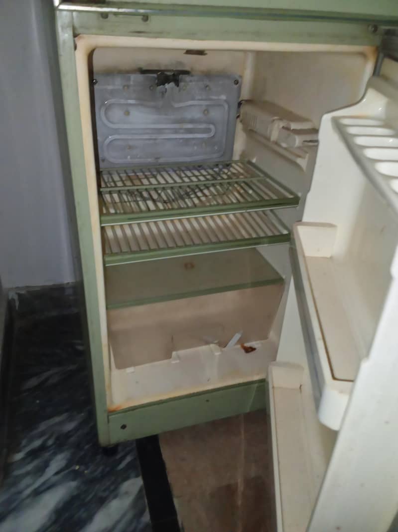 fridge 5