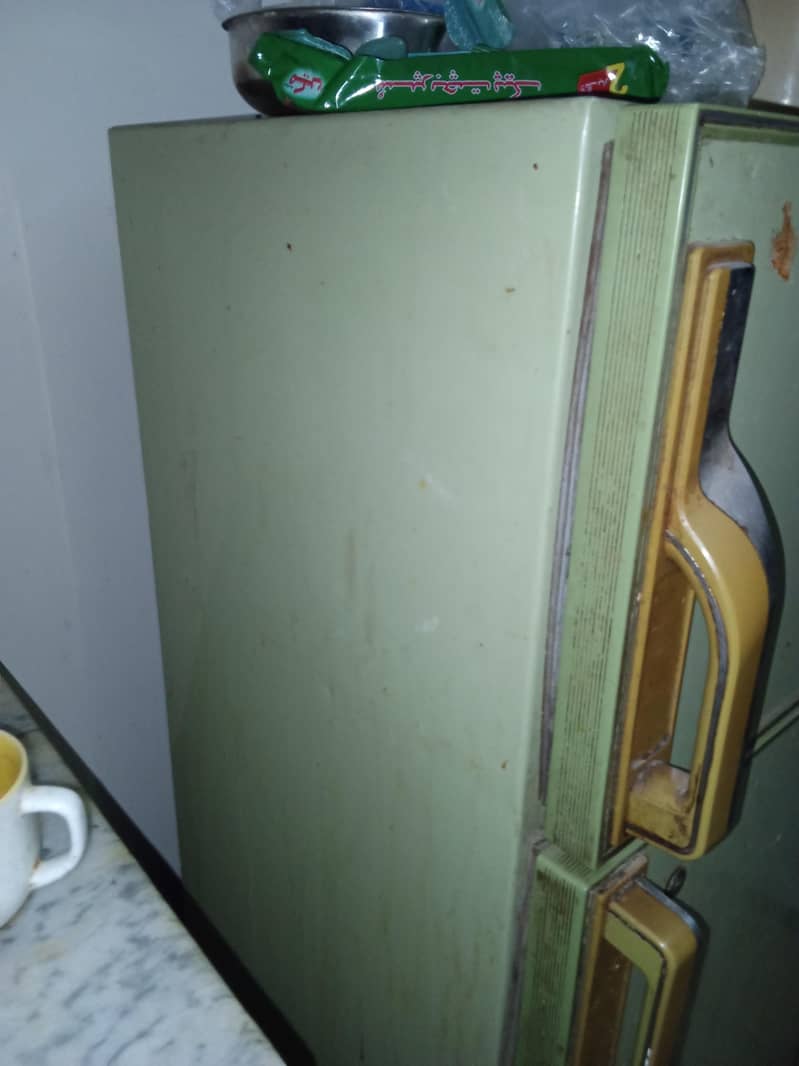 fridge 6