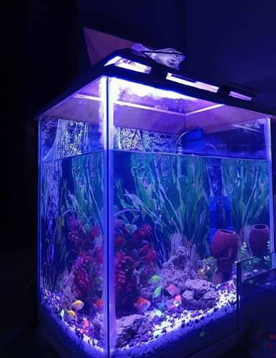 Aquariam for sell Without table