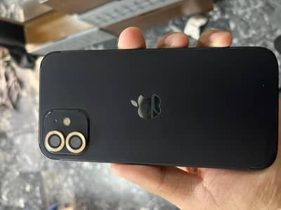 Camera 10 by 10