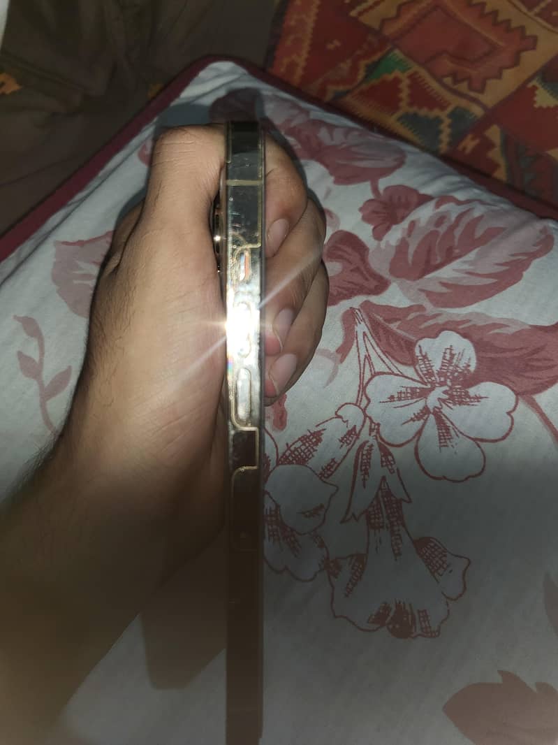 Apple iPhone 13 Pro 1