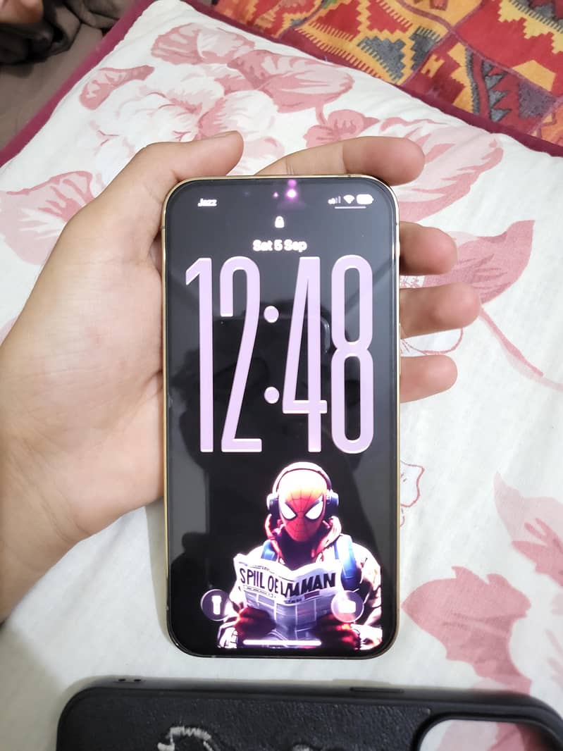 Apple iPhone 13 Pro 4