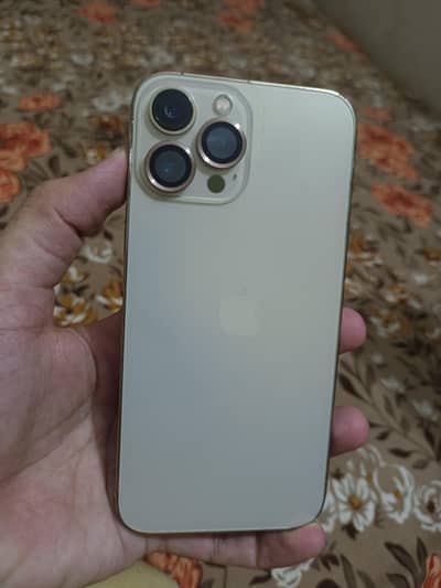 Apple iPhone 13 Pro Max
