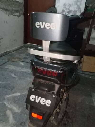 evee Gen z 2026 model