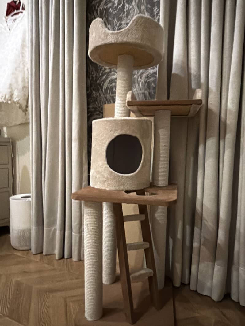 Cat house 0