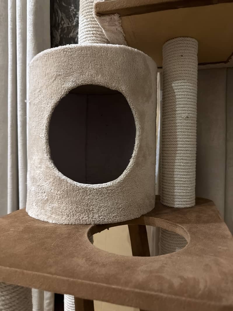 Cat house 1