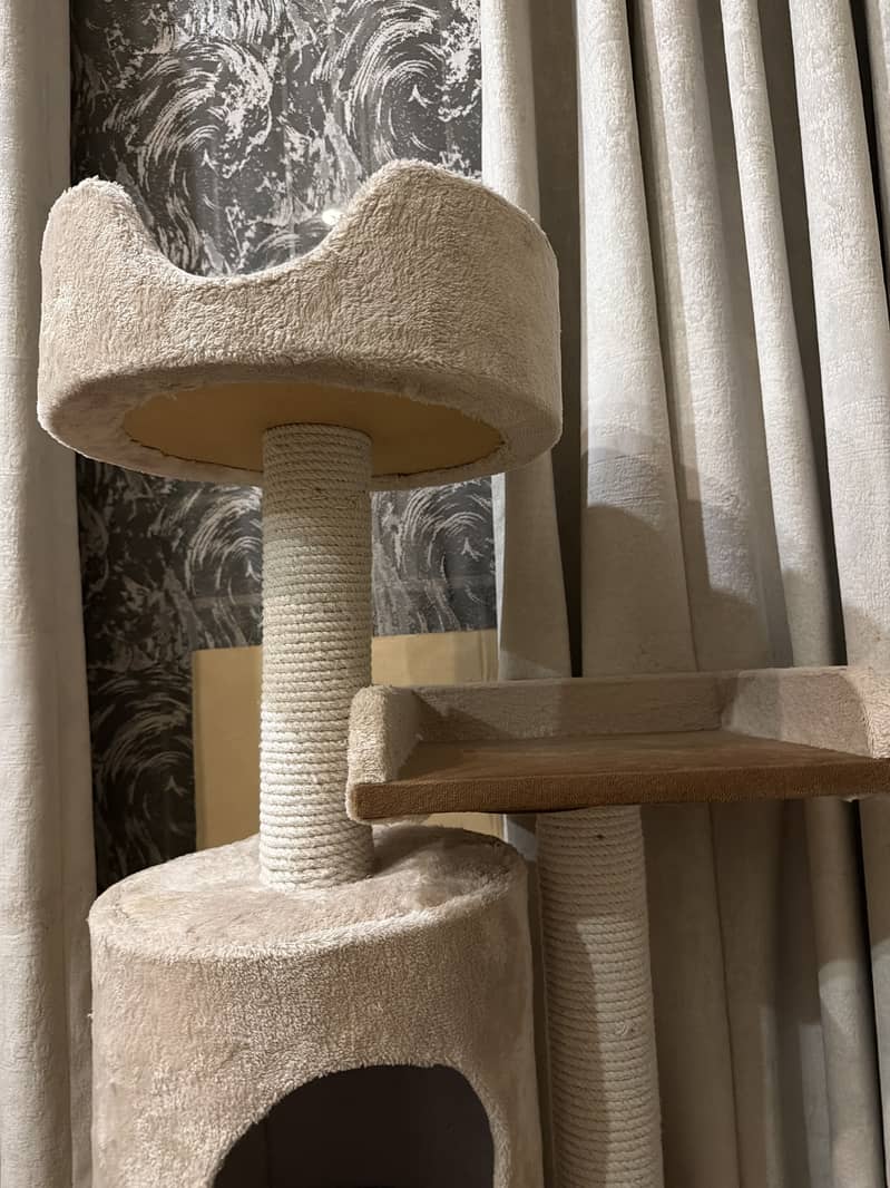 Cat house 2