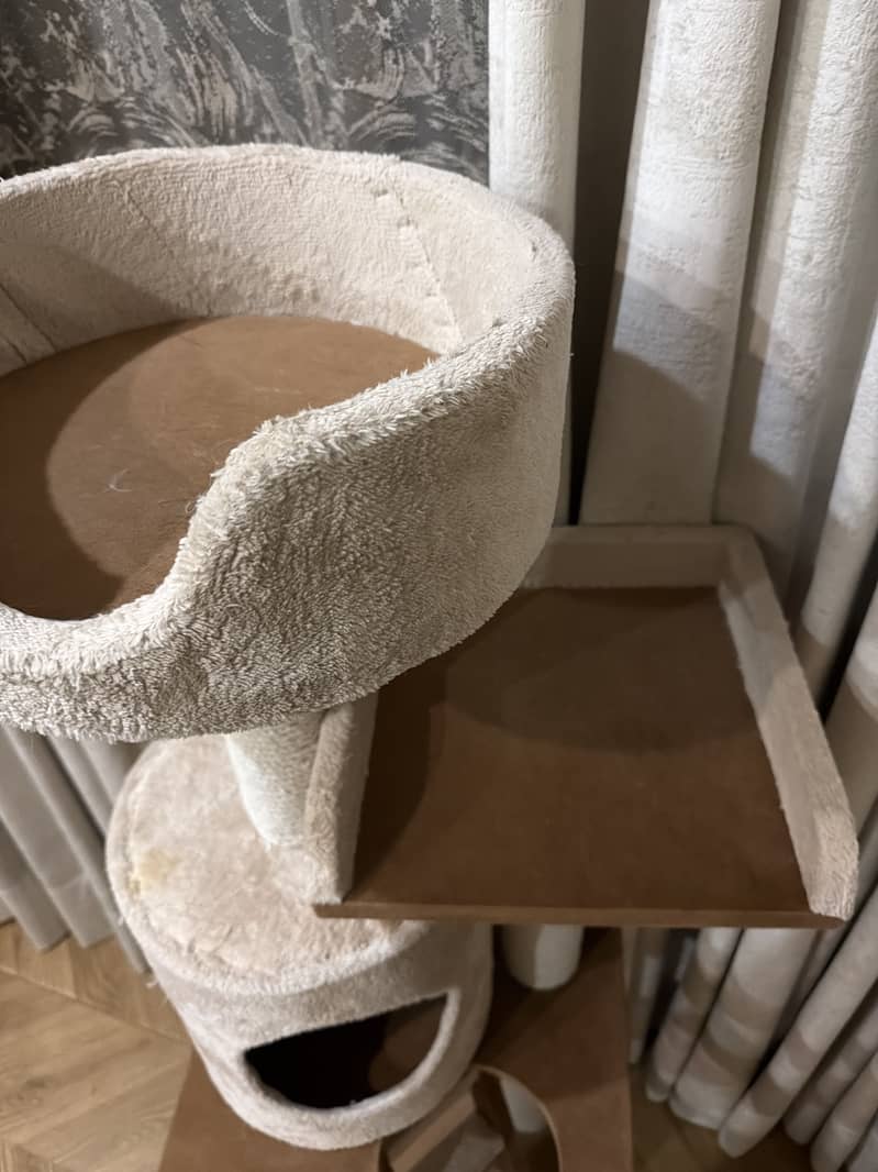 Cat house 3