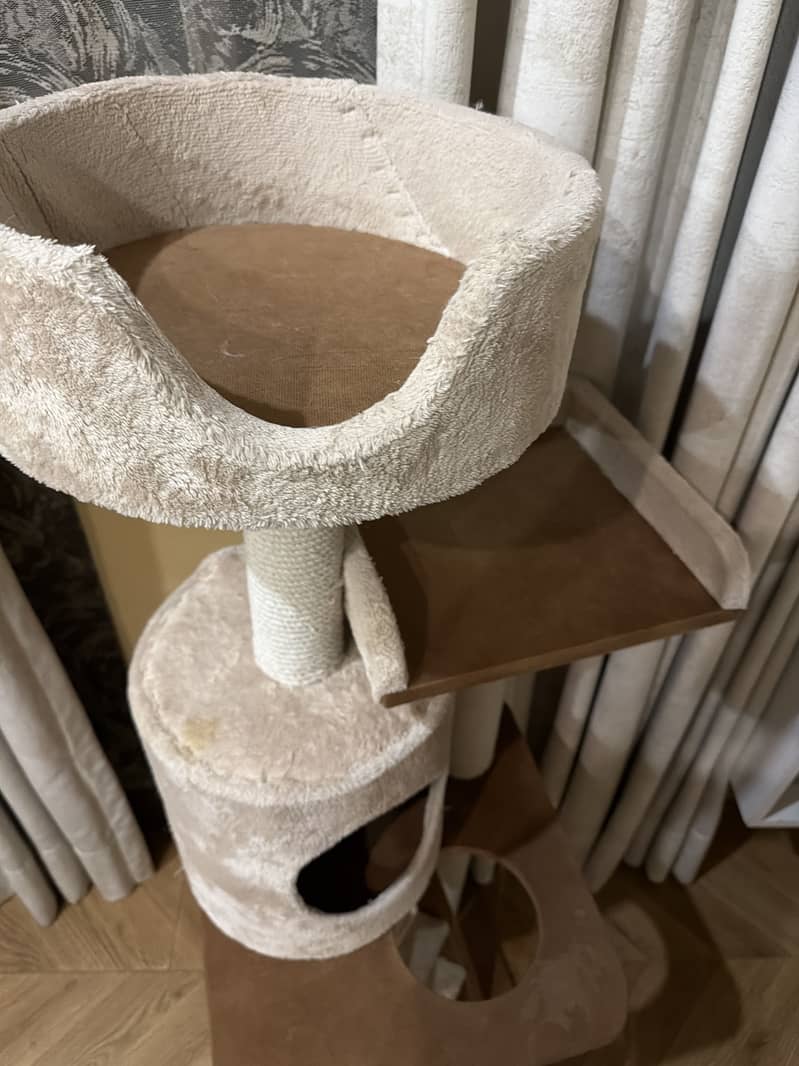 Cat house 4
