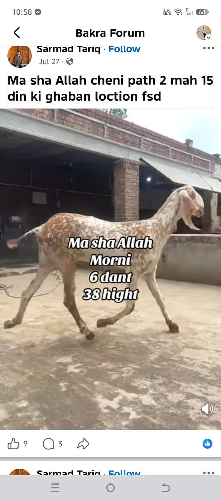 Ma sha Allah achi quality ke bakre lene ke lyea rabta kren — photo 8