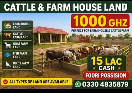 Cattle farm