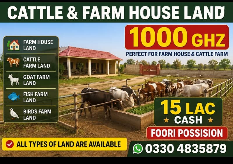 Cattle farm 0