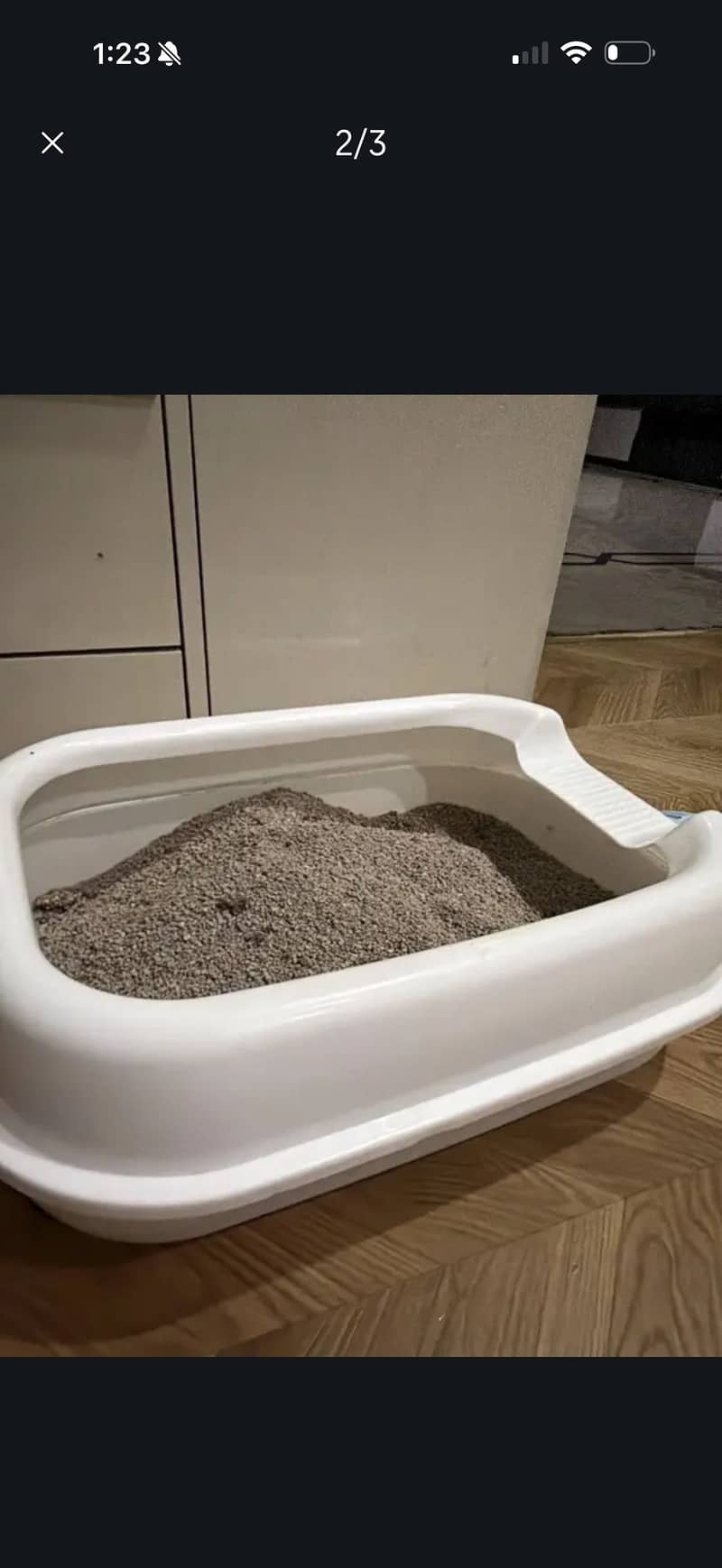 Litter box 1