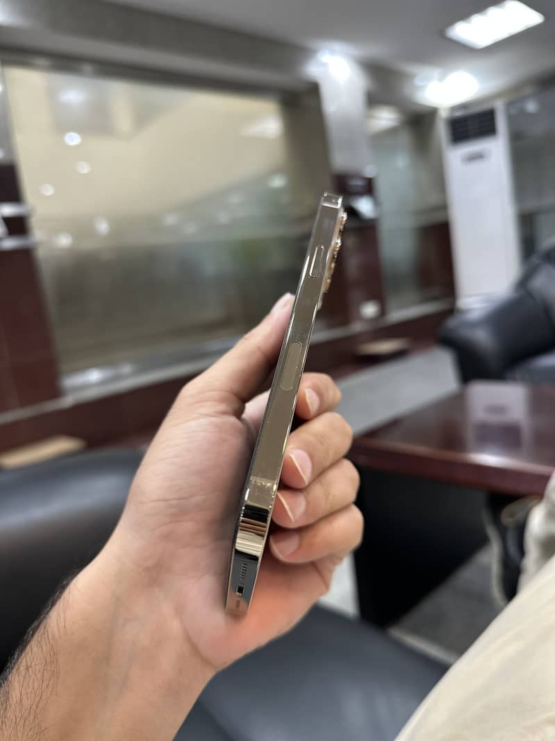 Apple iPhone 13 Pro Max 0