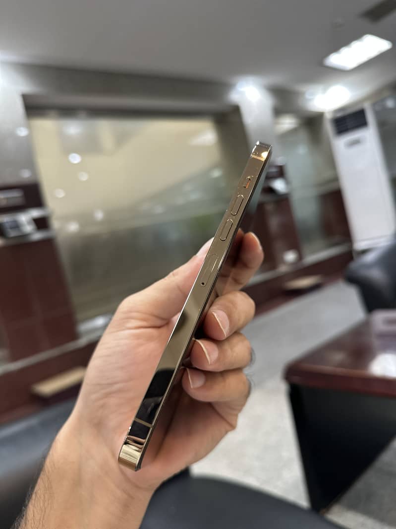 Apple iPhone 13 Pro Max 7