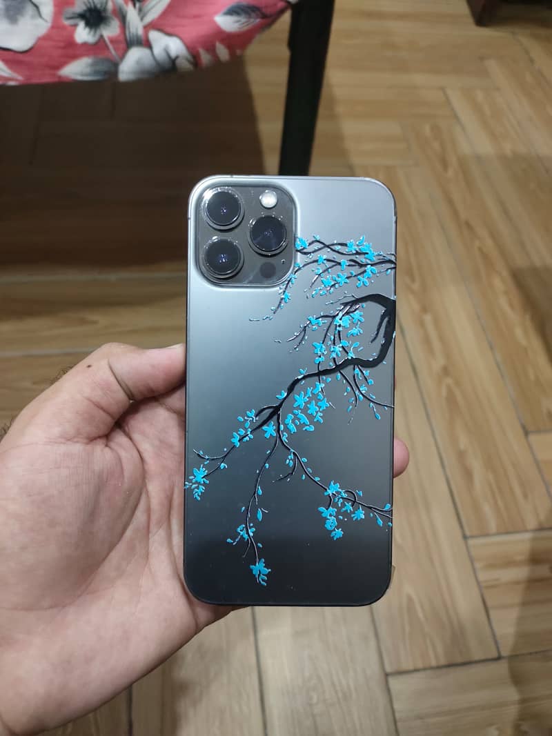 Apple iPhone 13 Pro Max 0