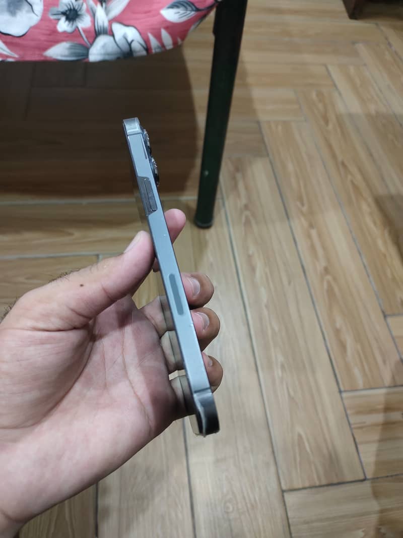Apple iPhone 13 Pro Max 1
