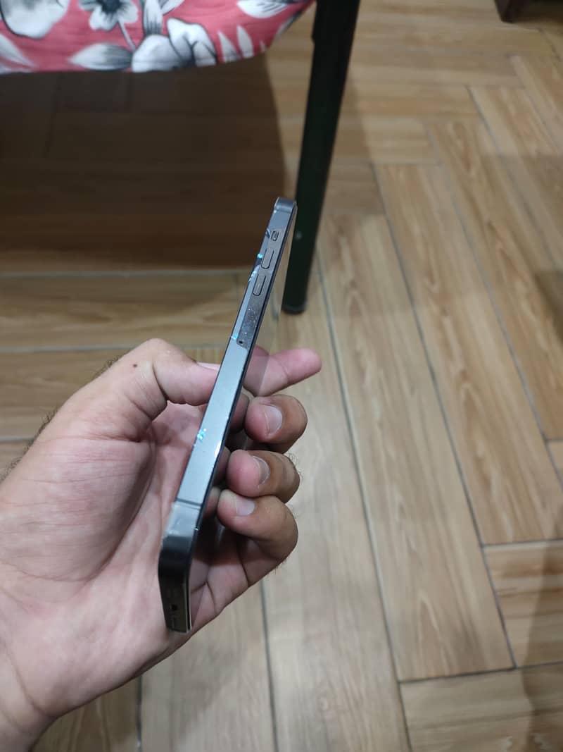 Apple iPhone 13 Pro Max 2