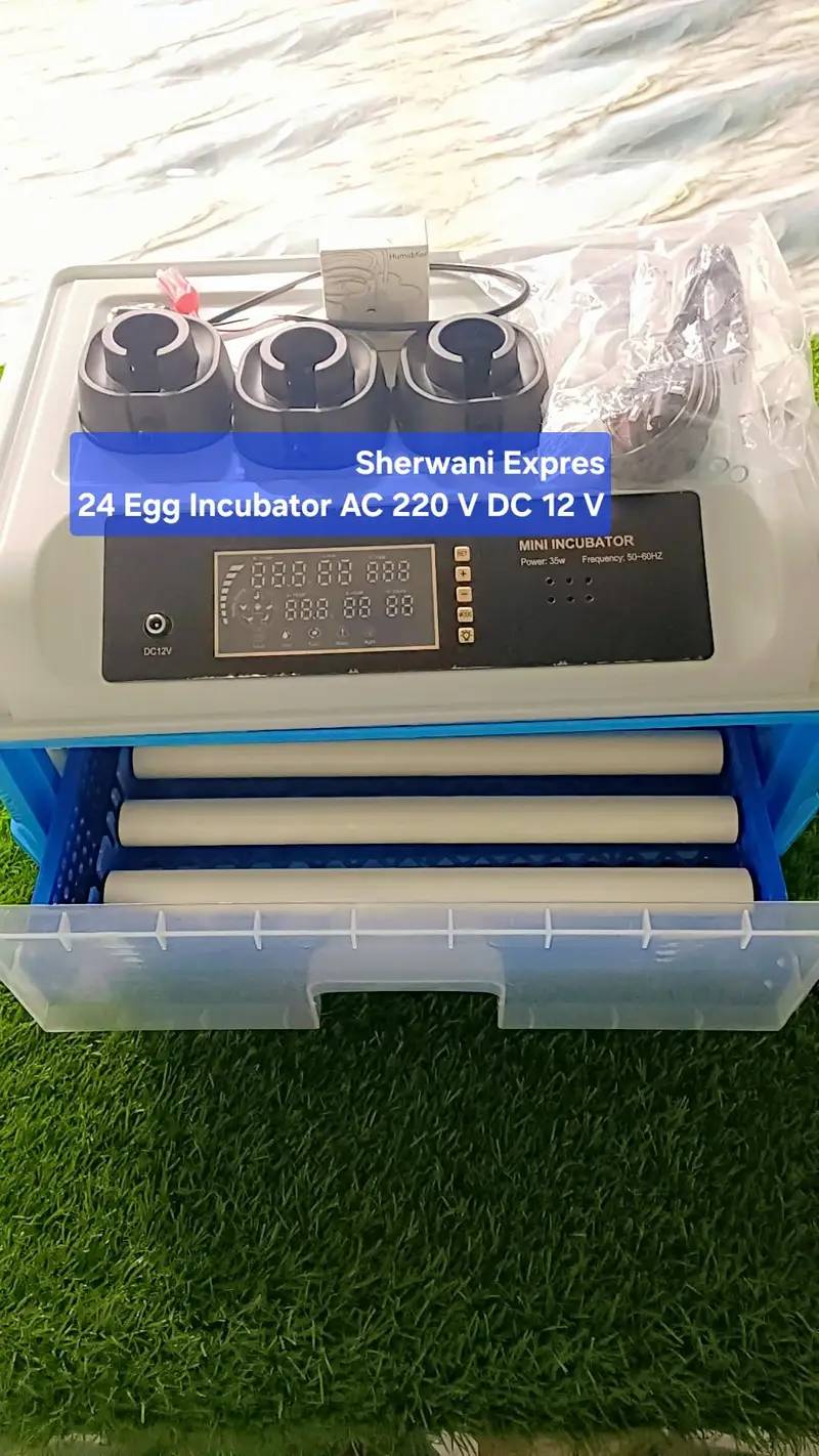 Best Egg Incubator automatic made in China