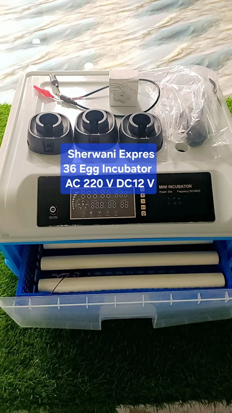 Best Egg Incubator automatic made in China — photo 2