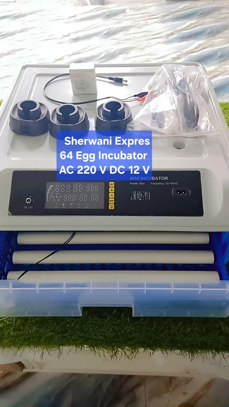 Best Egg Incubator automatic made in China — photo 3
